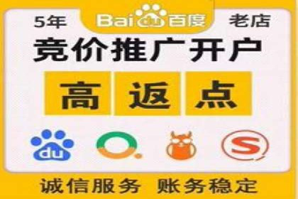 SEM网络推广成功案例：打造爆款关键词策略